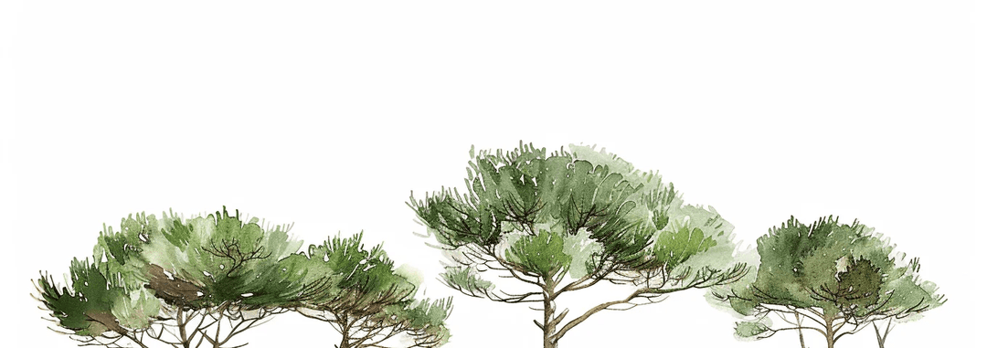 Les Pins de la Plage : Évasion Naturelle - Illulart: Papier peint panoramique