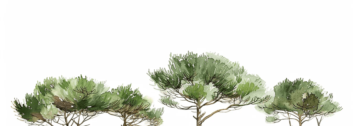 Les Pins de la Plage : Évasion Naturelle - Illulart: Papier peint panoramique