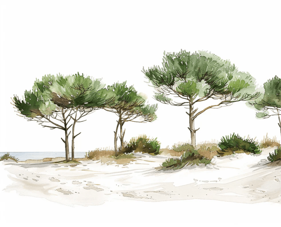 Les Pins de la Plage : Évasion Naturelle - Illulart: Papier peint panoramique