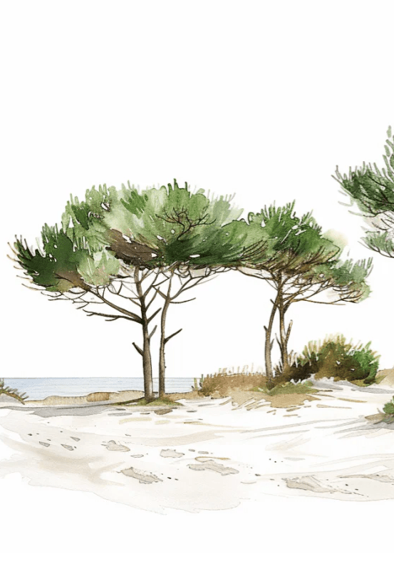 Les Pins de la Plage : Évasion Naturelle - Illulart: Papier peint panoramique