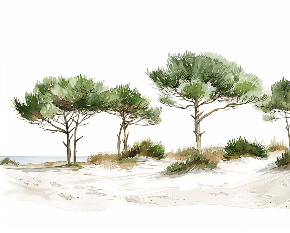 Les Pins de la Plage : Évasion Naturelle - Illulart: Papier peint panoramique