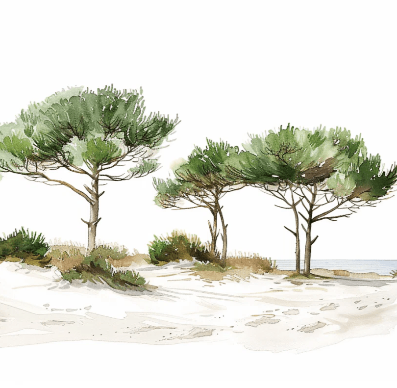 Les Pins de la Plage : Évasion Naturelle - Illulart: Papier peint panoramique