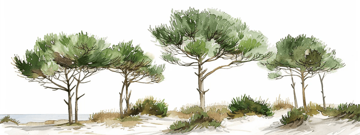 Les Pins de la Plage : Évasion Naturelle - Illulart: Papier peint panoramique