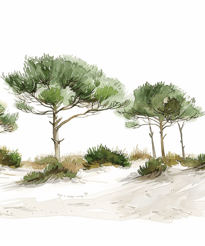 Les Pins de la Plage : Évasion Naturelle - Illulart: Papier peint panoramique