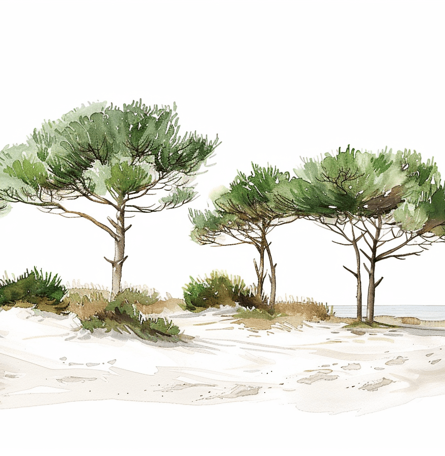 Les Pins de la Plage : Évasion Naturelle - Illulart: Papier peint panoramique