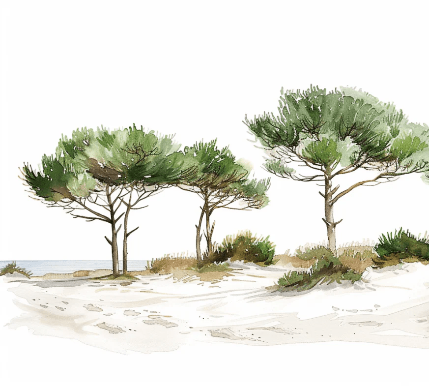 Les Pins de la Plage : Évasion Naturelle - Illulart: Papier peint panoramique