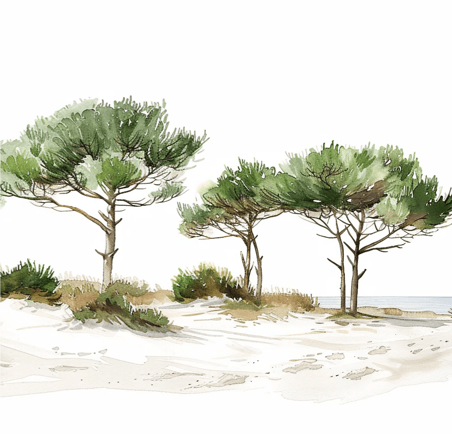 Les Pins de la Plage : Évasion Naturelle - Illulart: Papier peint panoramique