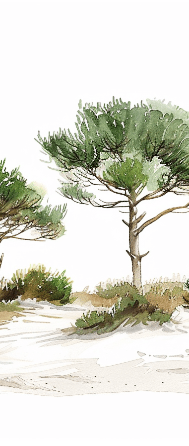 Les Pins de la Plage : Évasion Naturelle - Illulart: Papier peint panoramique