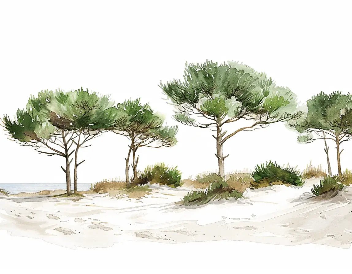 Les Pins de la Plage : Évasion Naturelle - Illulart: Papier peint panoramique