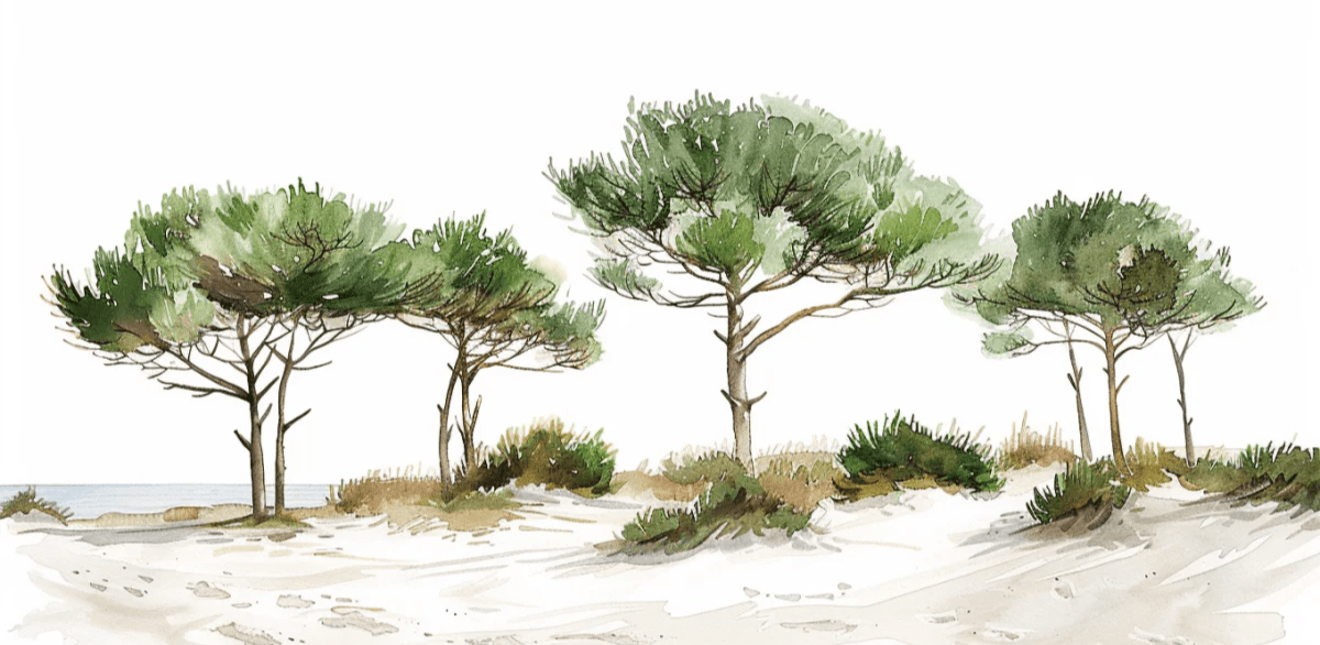 Les Pins de la Plage : Évasion Naturelle - Illulart: Papier peint panoramique