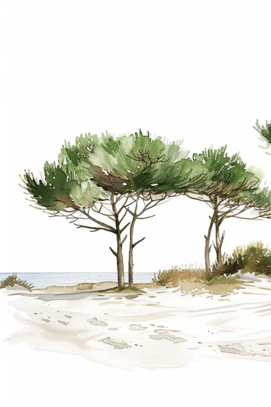 Les Pins de la Plage : Évasion Naturelle - Illulart: Papier peint panoramique