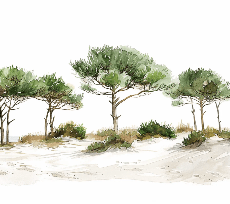 Les Pins de la Plage : Évasion Naturelle - Illulart: Papier peint panoramique