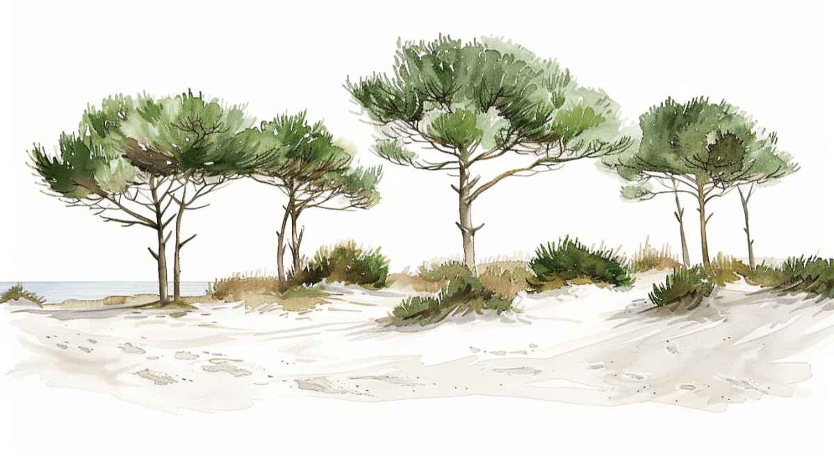Les Pins de la Plage : Évasion Naturelle - Illulart: Papier peint panoramique