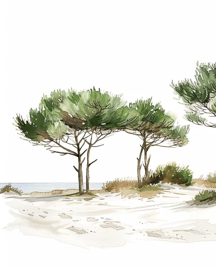 Les Pins de la Plage : Évasion Naturelle