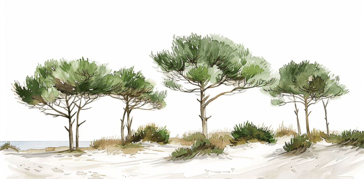 Les Pins de la Plage : Évasion Naturelle - Illulart: Papier peint panoramique