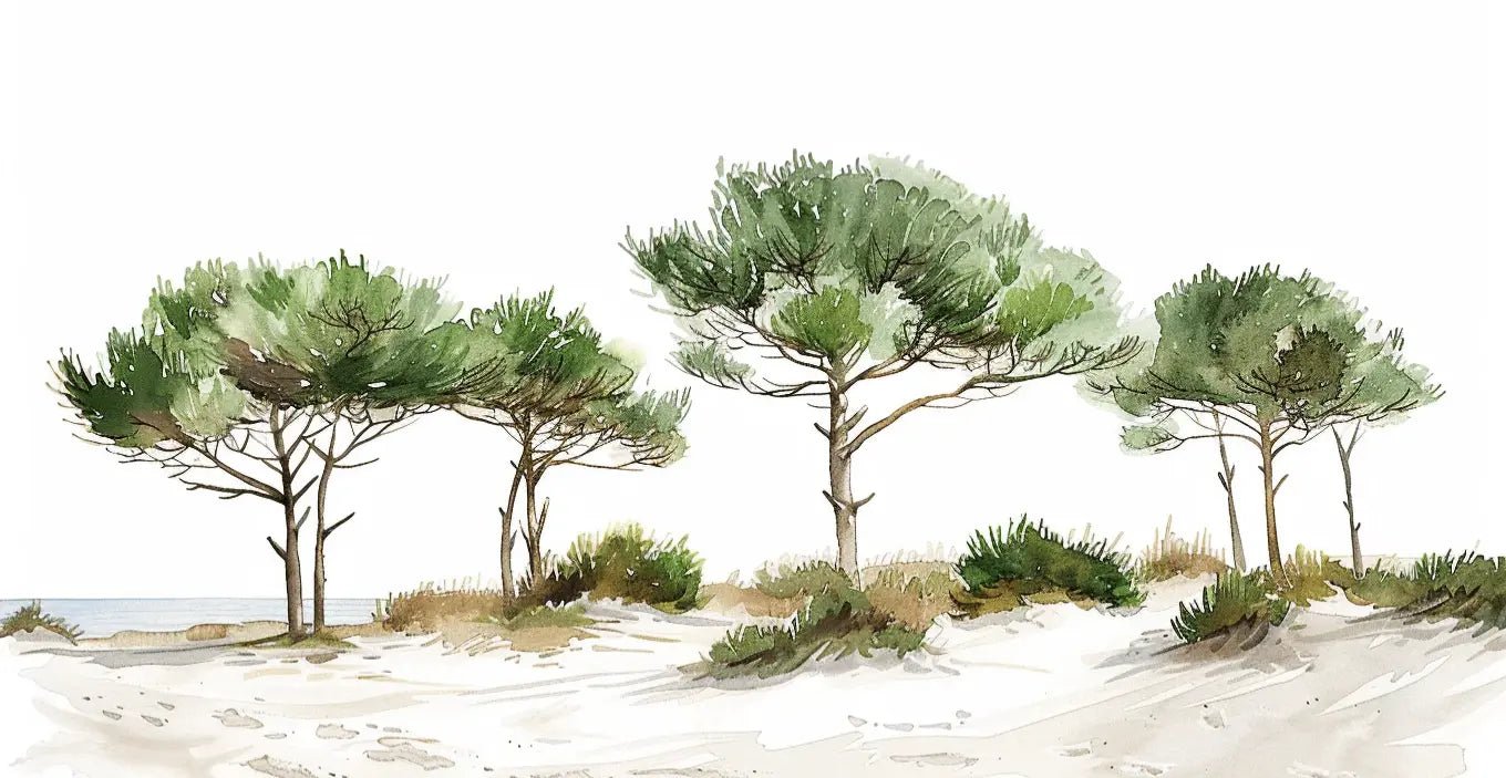Les Pins de la Plage : Évasion Naturelle