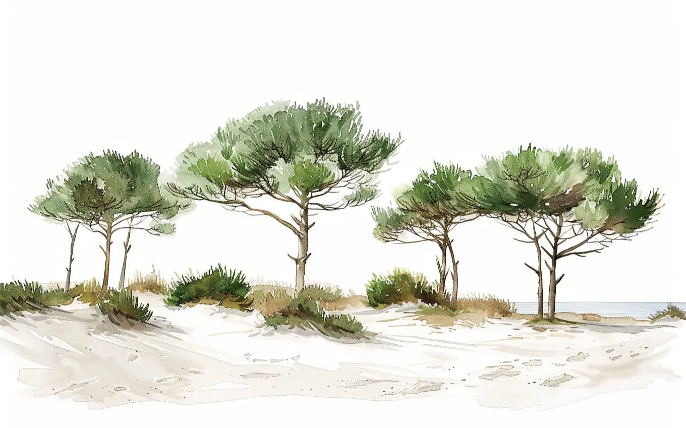 Les Pins de la Plage : Évasion Naturelle - Illulart: Papier peint panoramique