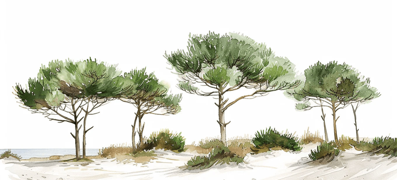 Les Pins de la Plage : Évasion Naturelle - Illulart: Papier peint panoramique