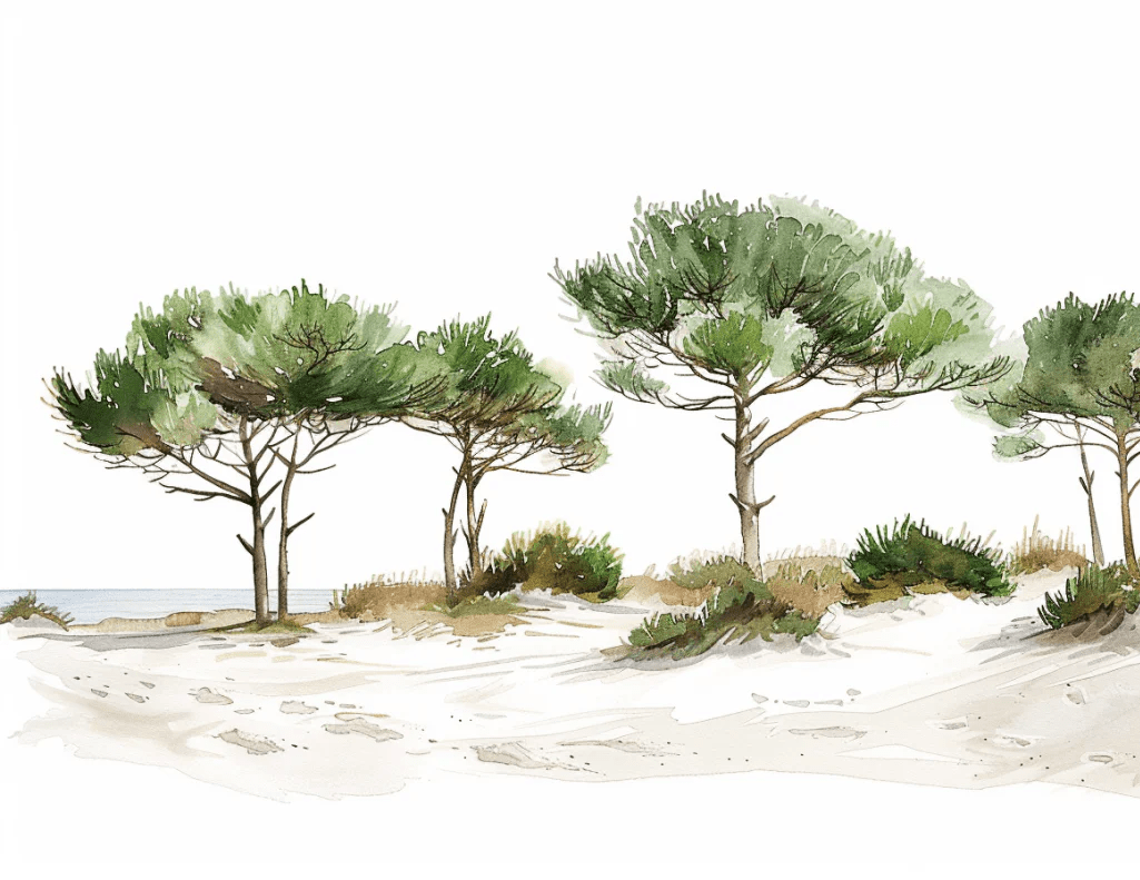 Les Pins de la Plage : Évasion Naturelle - Illulart: Papier peint panoramique