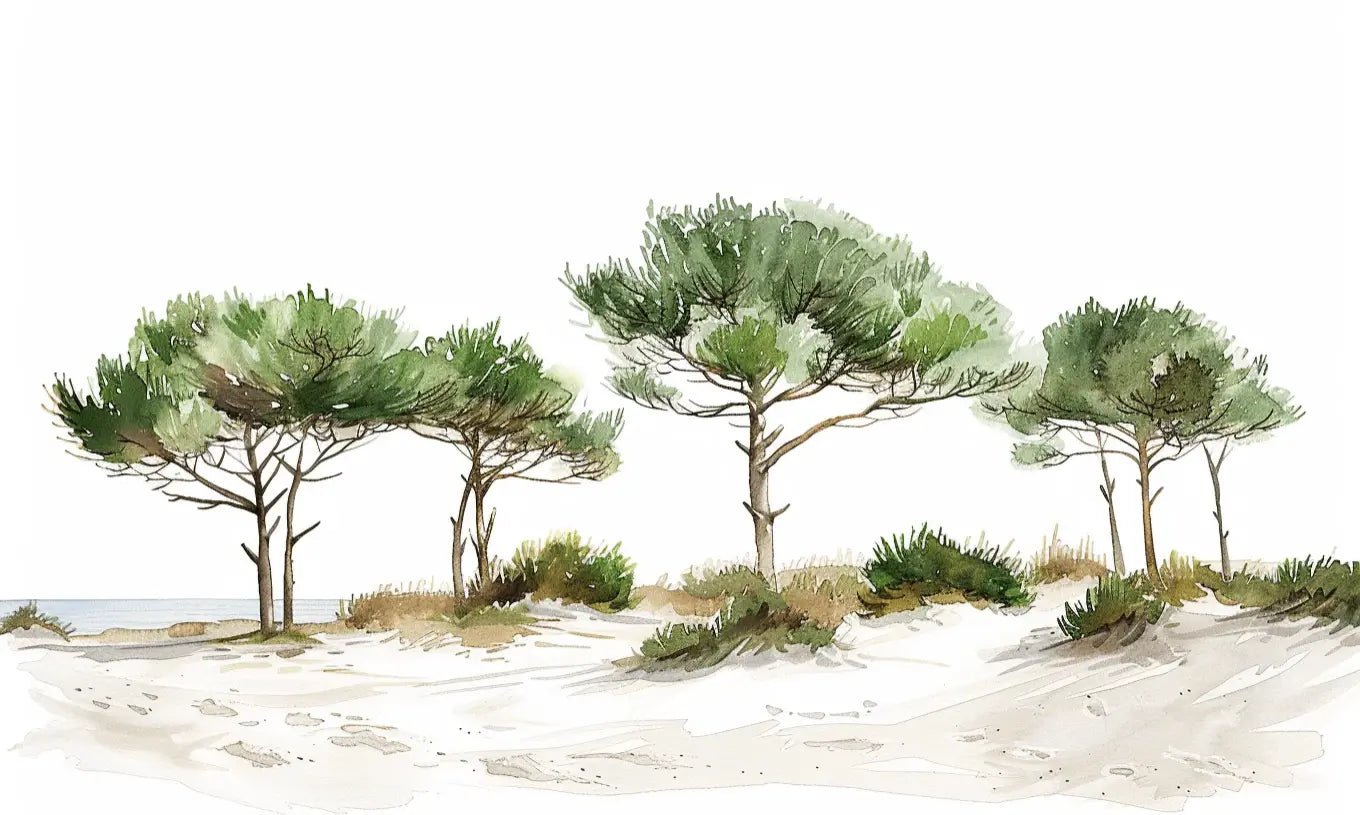 Les Pins de la Plage : Évasion Naturelle