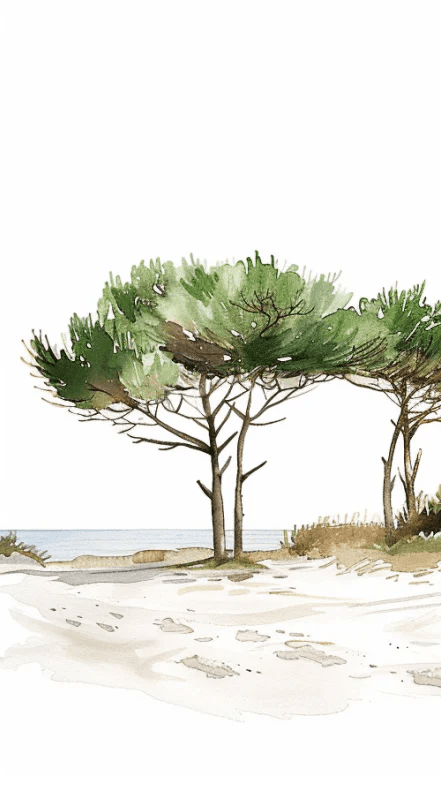 Les Pins de la Plage : Évasion Naturelle - Illulart: Papier peint panoramique