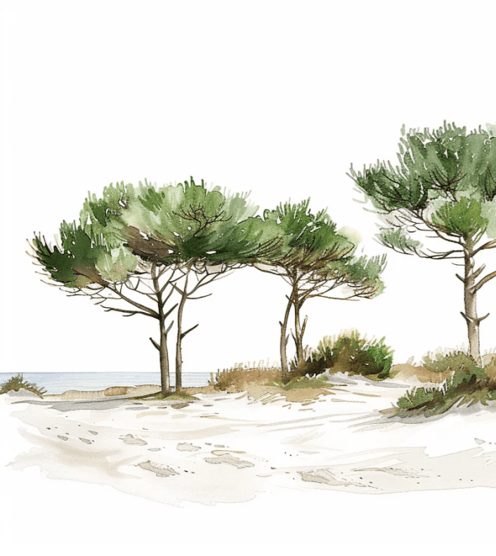 Les Pins de la Plage : Évasion Naturelle - Illulart: Papier peint panoramique