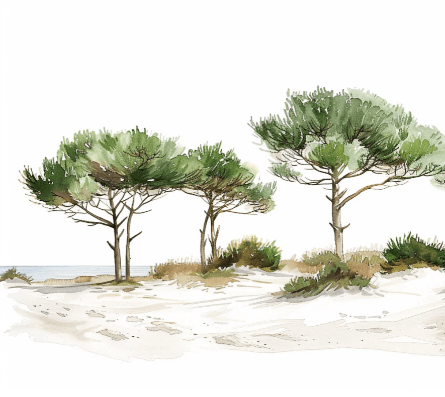 Les Pins de la Plage : Évasion Naturelle - Illulart: Papier peint panoramique