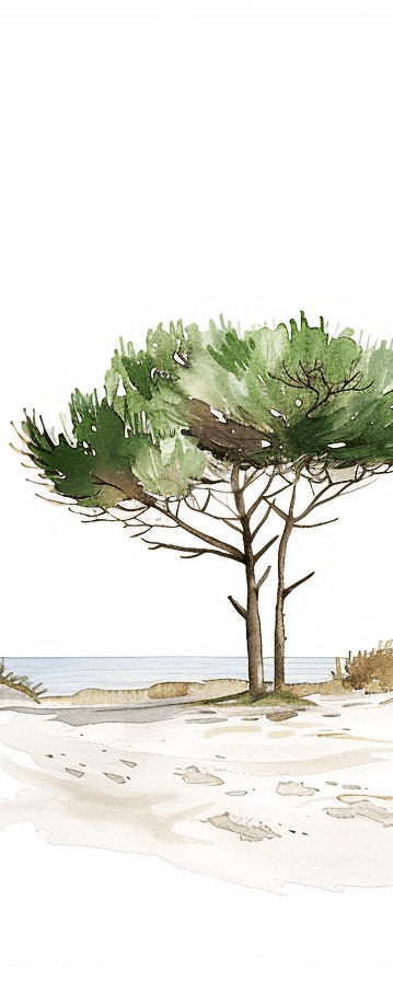 Les Pins de la Plage : Évasion Naturelle - Illulart: Papier peint panoramique