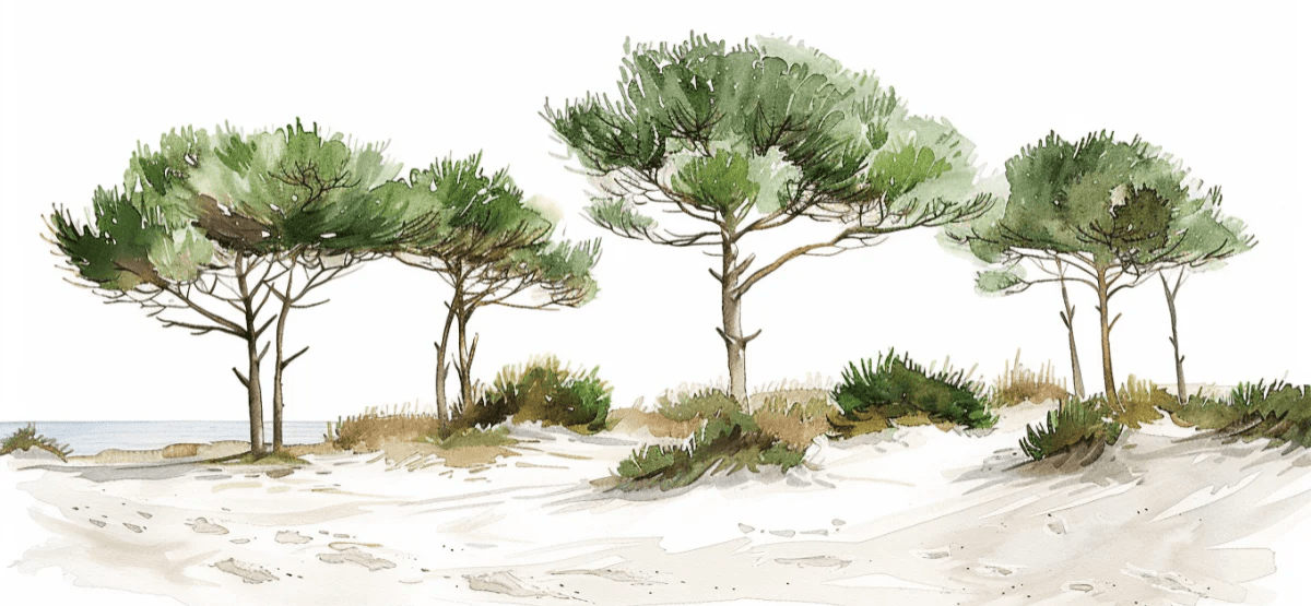 Les Pins de la Plage : Évasion Naturelle - Illulart: Papier peint panoramique