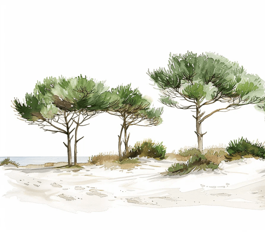 Les Pins de la Plage : Évasion Naturelle - Illulart: Papier peint panoramique