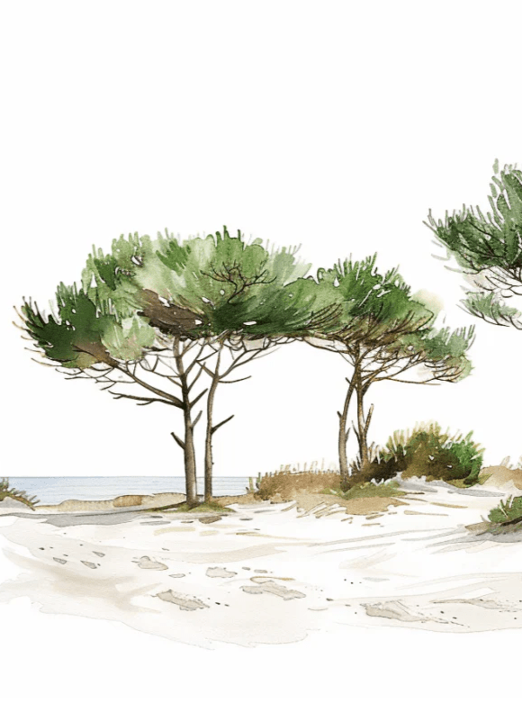 Les Pins de la Plage : Évasion Naturelle - Illulart: Papier peint panoramique