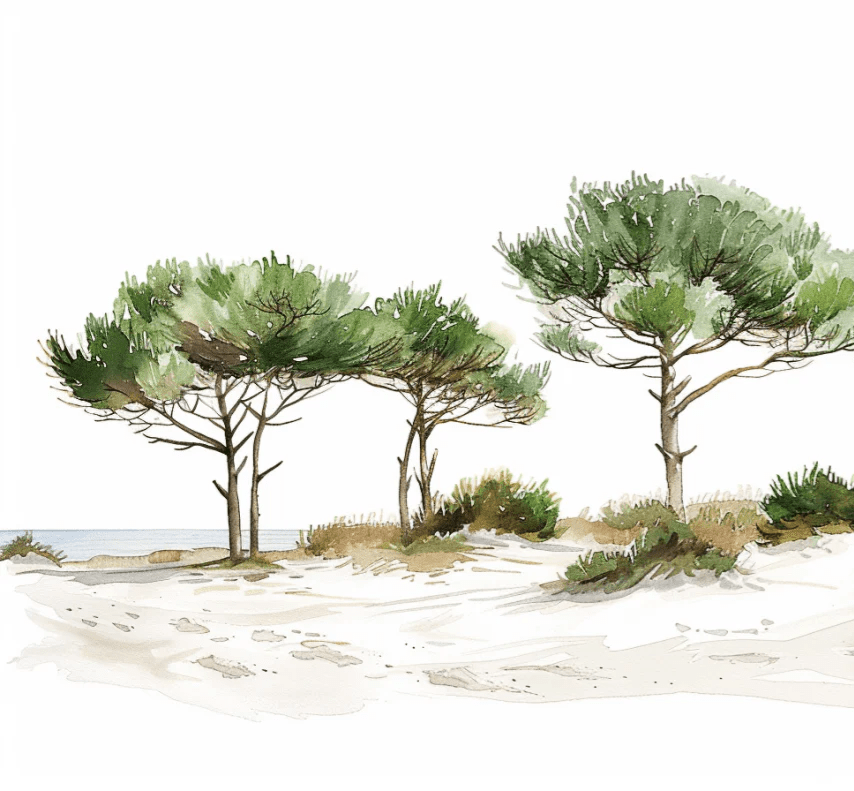 Les Pins de la Plage : Évasion Naturelle - Illulart: Papier peint panoramique