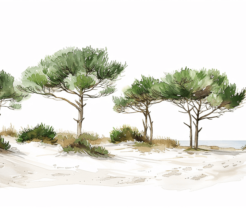 Les Pins de la Plage - Illulart: Papier peint panoramique
