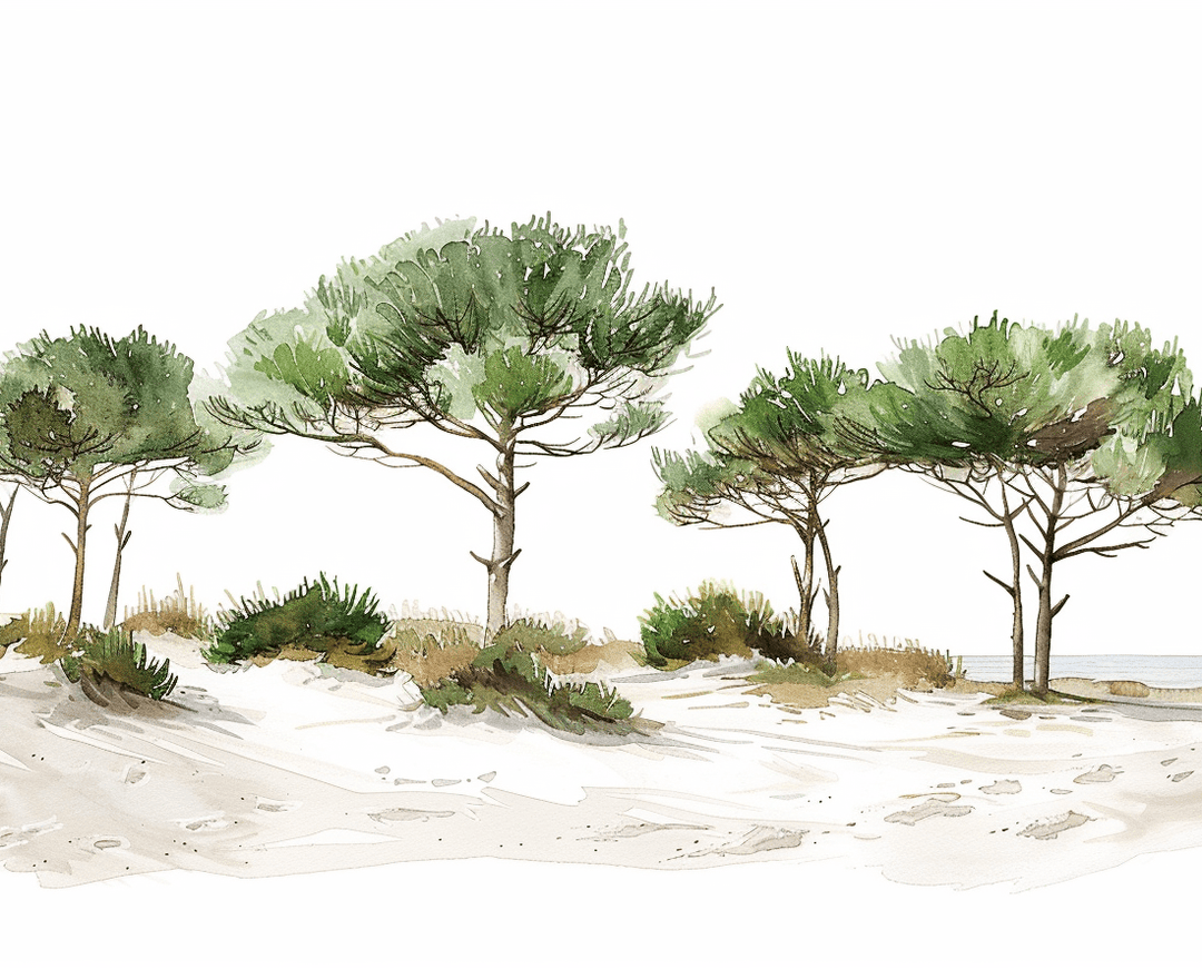 Les Pins de la Plage - Illulart: Papier peint panoramique