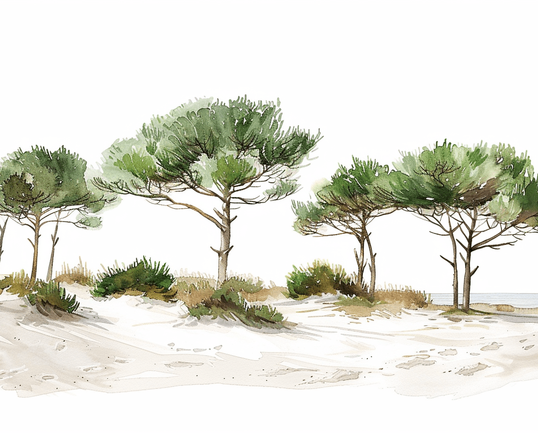 Les Pins de la Plage - Illulart: Papier peint panoramique