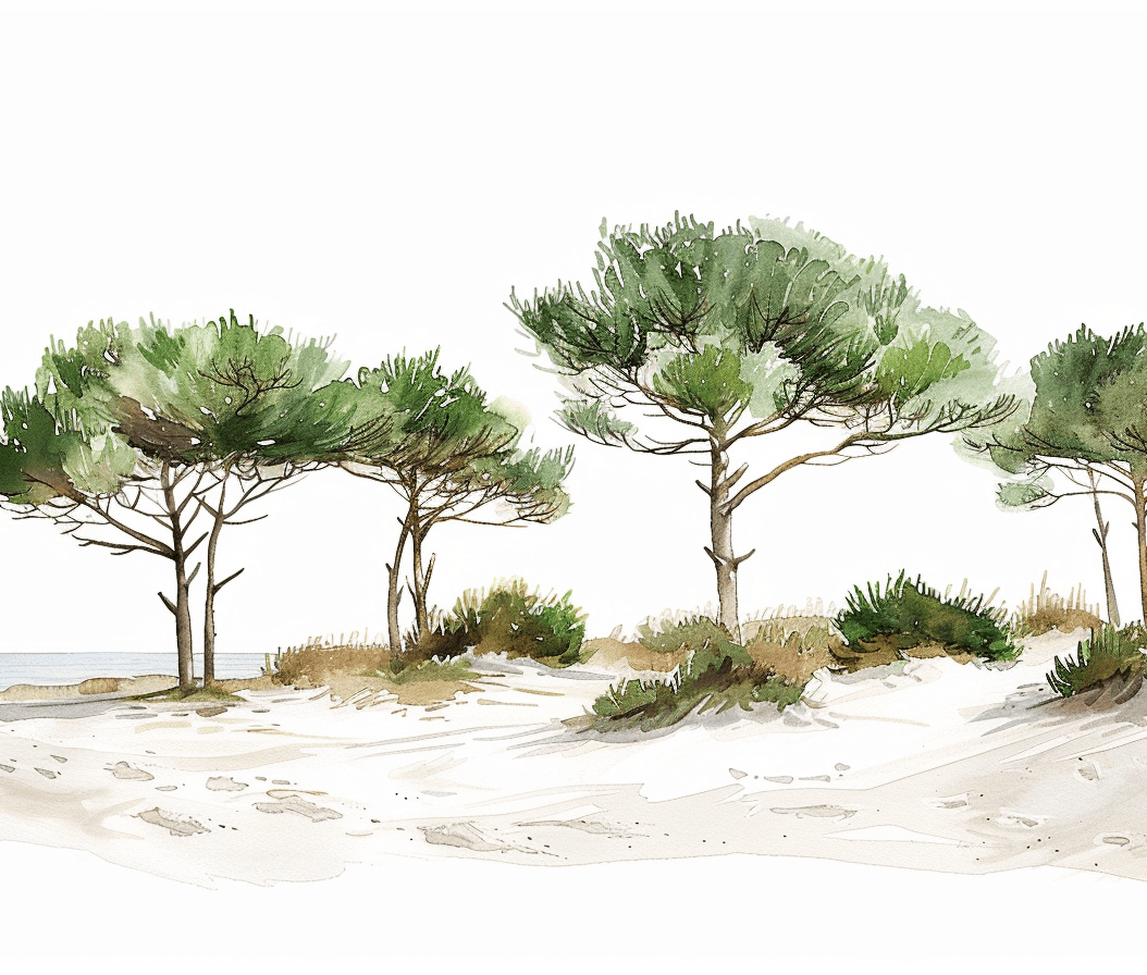 Les Pins de la Plage - Illulart: Papier peint panoramique