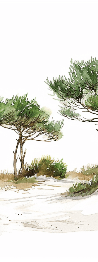 Les Pins de la Plage - Illulart: Papier peint panoramique