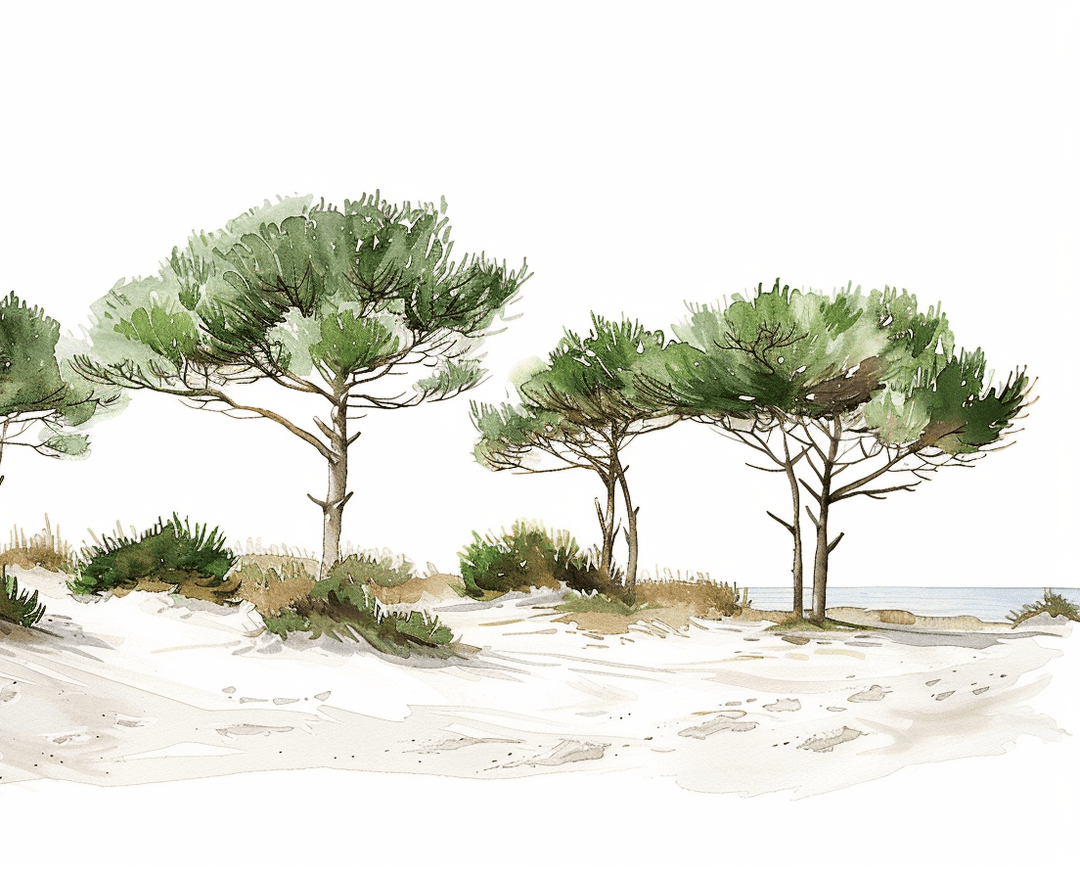 Les Pins de la Plage - Illulart: Papier peint panoramique