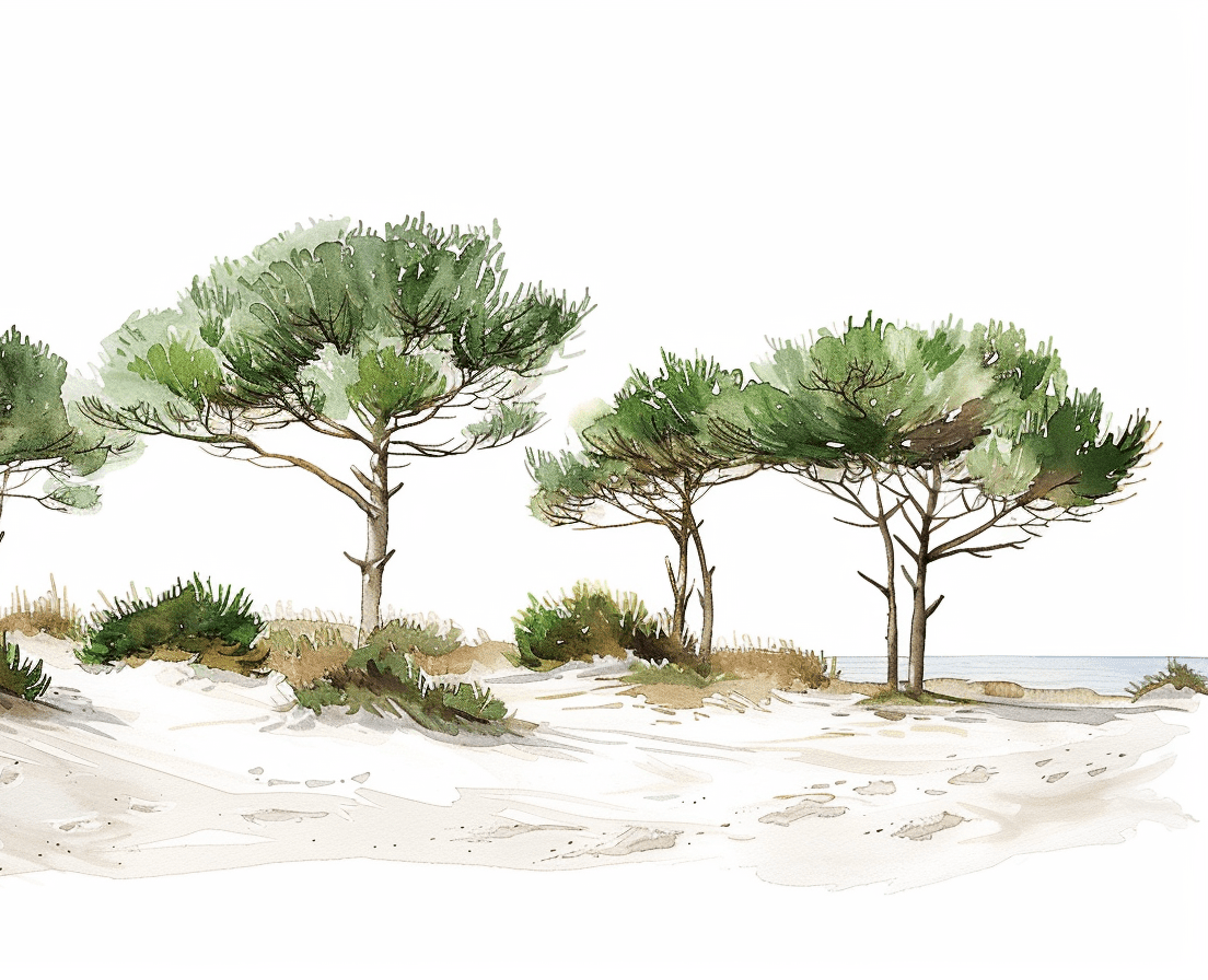 Les Pins de la Plage - Illulart: Papier peint panoramique