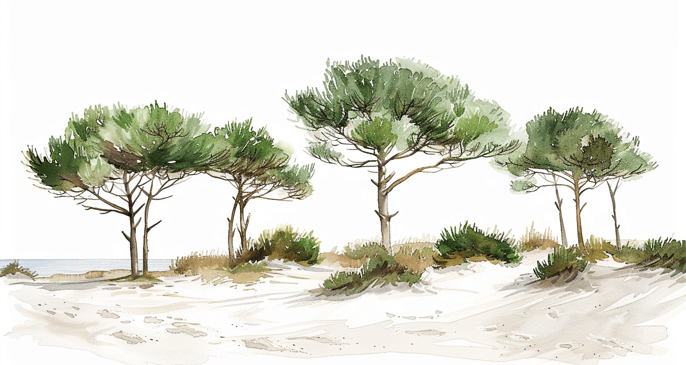 Les Pins de la Plage - Illulart: Papier peint panoramique