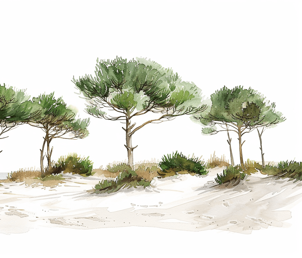 Les Pins de la Plage - Illulart: Papier peint panoramique