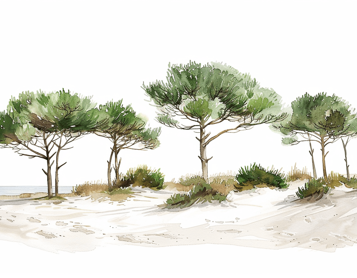 Les Pins de la Plage - Illulart: Papier peint panoramique