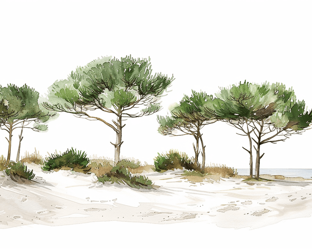 Les Pins de la Plage - Illulart: Papier peint panoramique