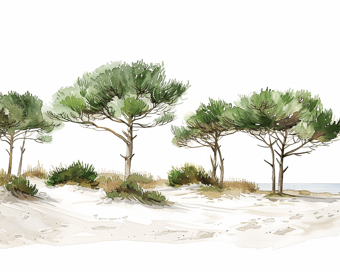 Les Pins de la Plage