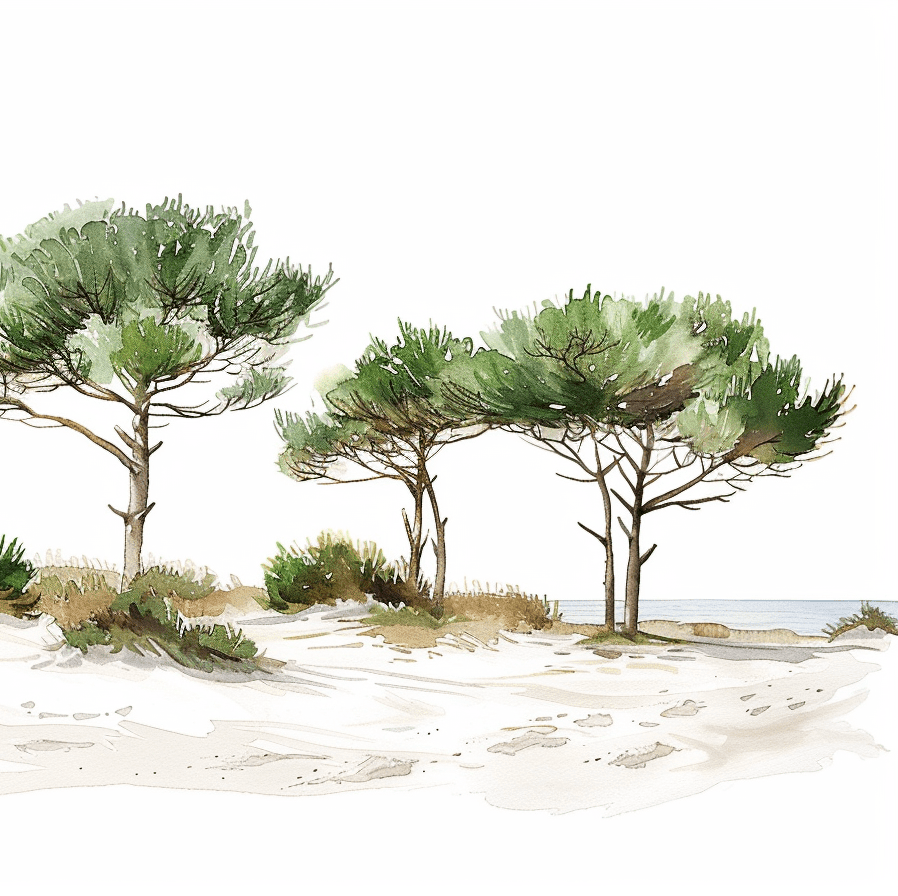 Les Pins de la Plage - Illulart: Papier peint panoramique