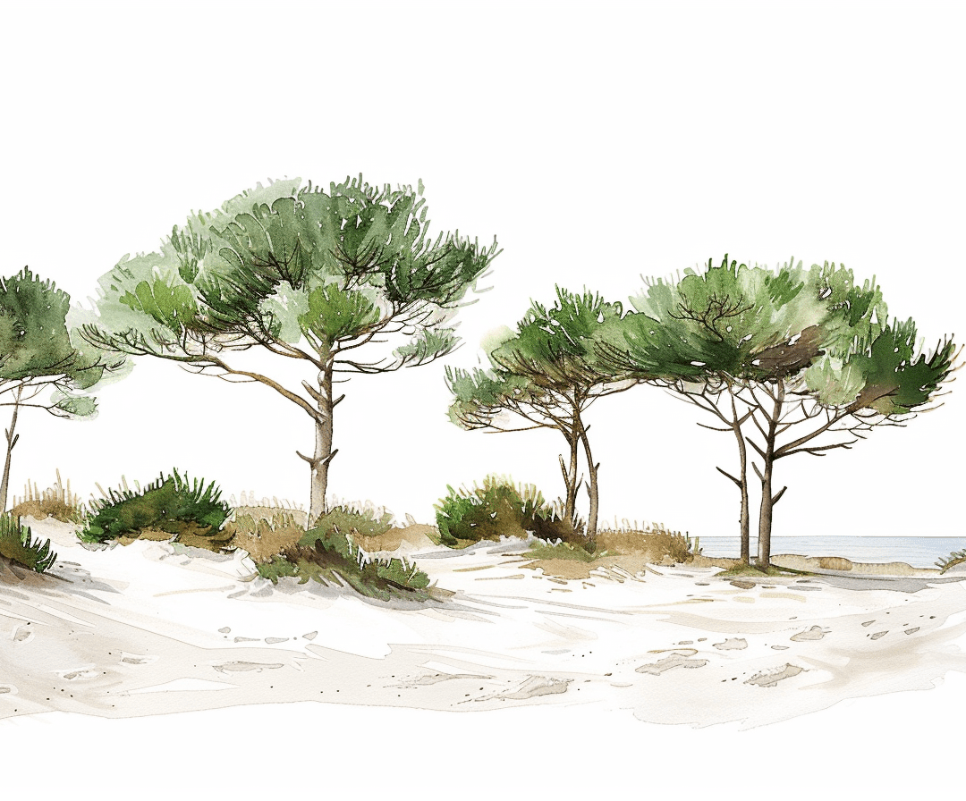 Les Pins de la Plage - Illulart: Papier peint panoramique