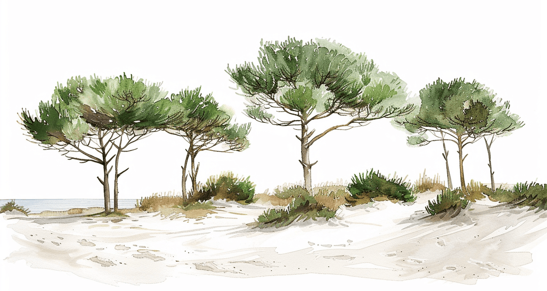 Les Pins de la Plage - Illulart: Papier peint panoramique