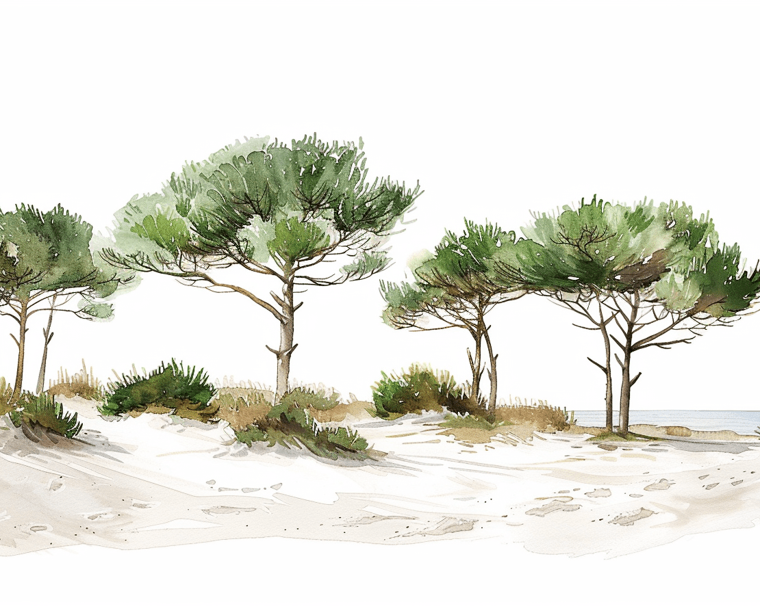 Les Pins de la Plage - Illulart: Papier peint panoramique