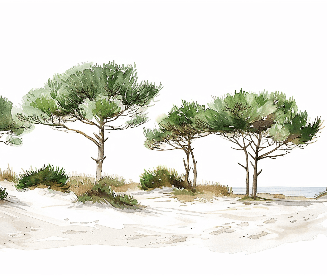 Les Pins de la Plage - Illulart: Papier peint panoramique