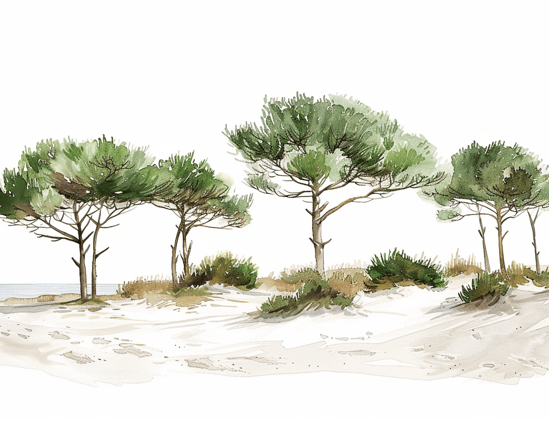 Les Pins de la Plage - Illulart: Papier peint panoramique